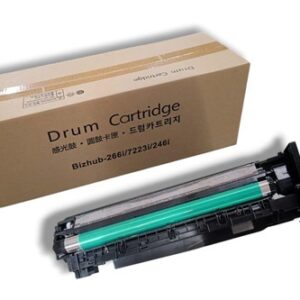 DRUM UNIT WITH DEVELOPER